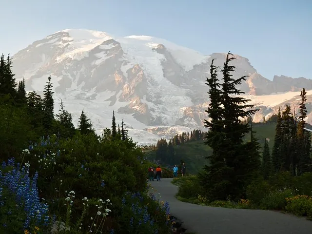 Un sendero pavimentado serpentea entre árboles y flores silvestres hacia el Monte Rainier.