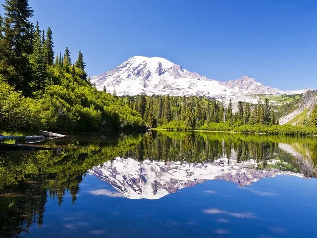 Der Mount Rainier spiegelt sich perfekt in einem ruhigen Bergsee, umgeben von grünen Bäumen.