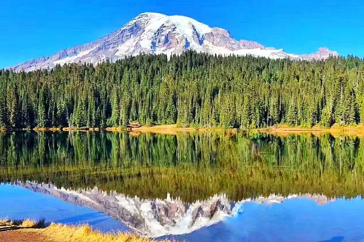 Clear view of a lake reflecting Mount Rainier and forest