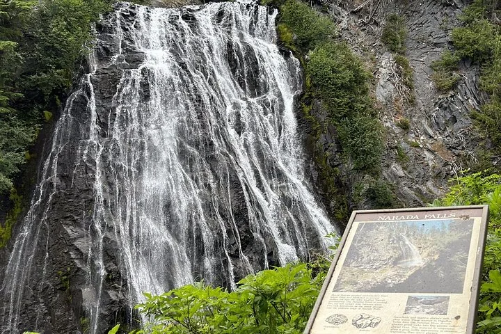 Narada Falls cascades down dark rocks behind an informational park sign.