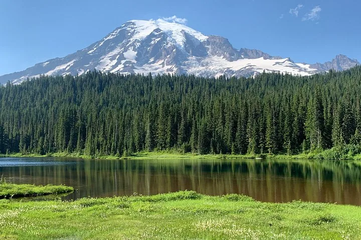 Der Mount Rainier erhebt sich hinter einem dichten immergrünen Wald und einem ruhigen, spiegelnden See.