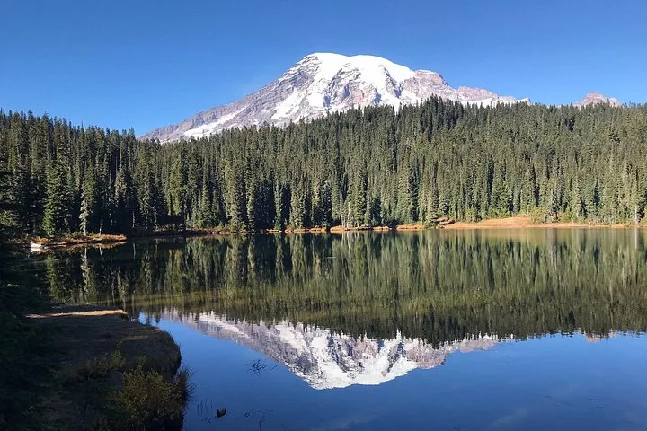 El Monte Rainier reflejándose con claridad en un lago tranquilo rodeado de un bosque de pinos.