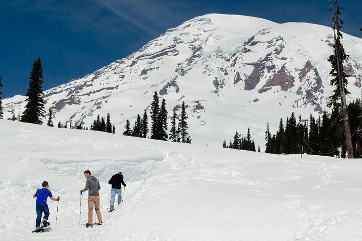 Drei Personen gehen mit Schneeschuhen einen verschneiten Hang hinauf, Mount Rainier im Hintergrund.